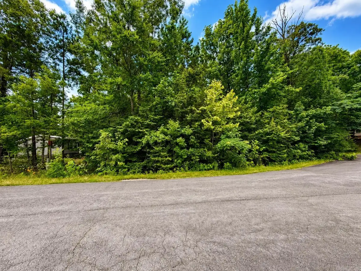 Lot 63 Slate Creek Way, Lonsdale, AR 72087 - #1