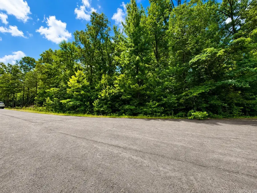 Lot 63 Slate Creek Way, Lonsdale, AR 72087 - #3