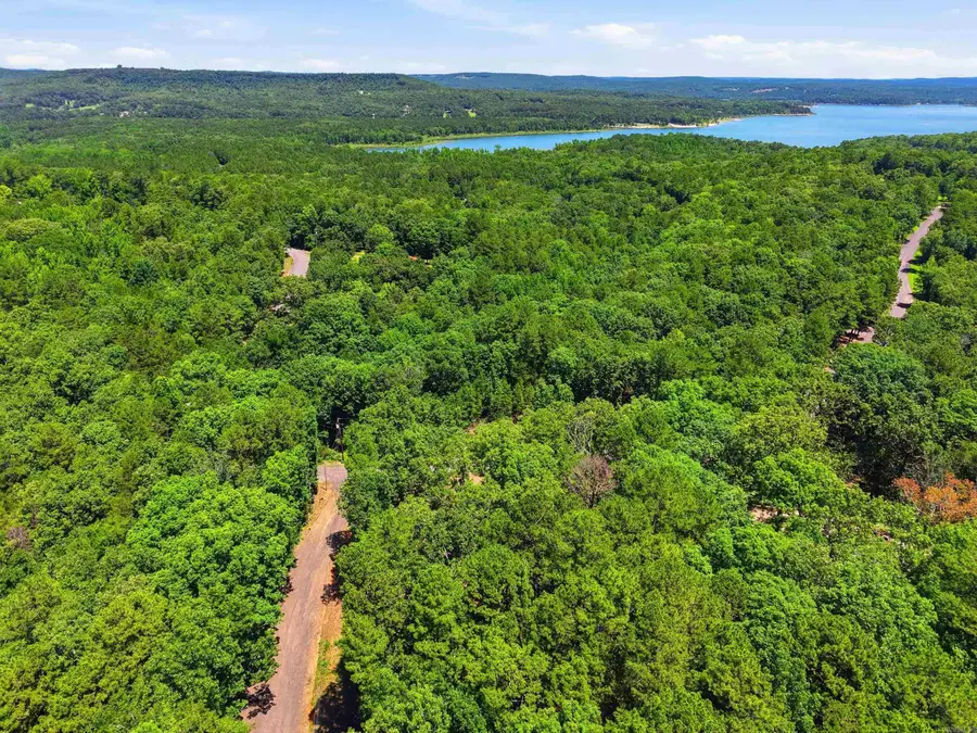 296 Green Tree Road, Clinton, AR 72031 - #3