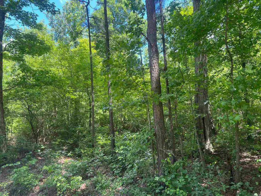 Address Withheld By Seller, Pine Bluff, AR 71603 - #3