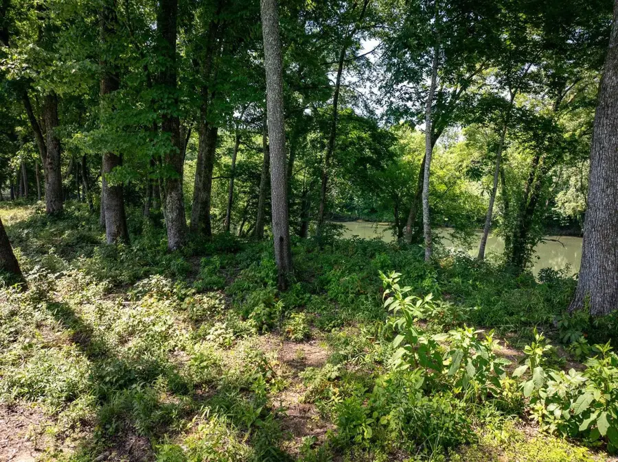TBD Old River Road, Pangburn, AR 72121 - #3