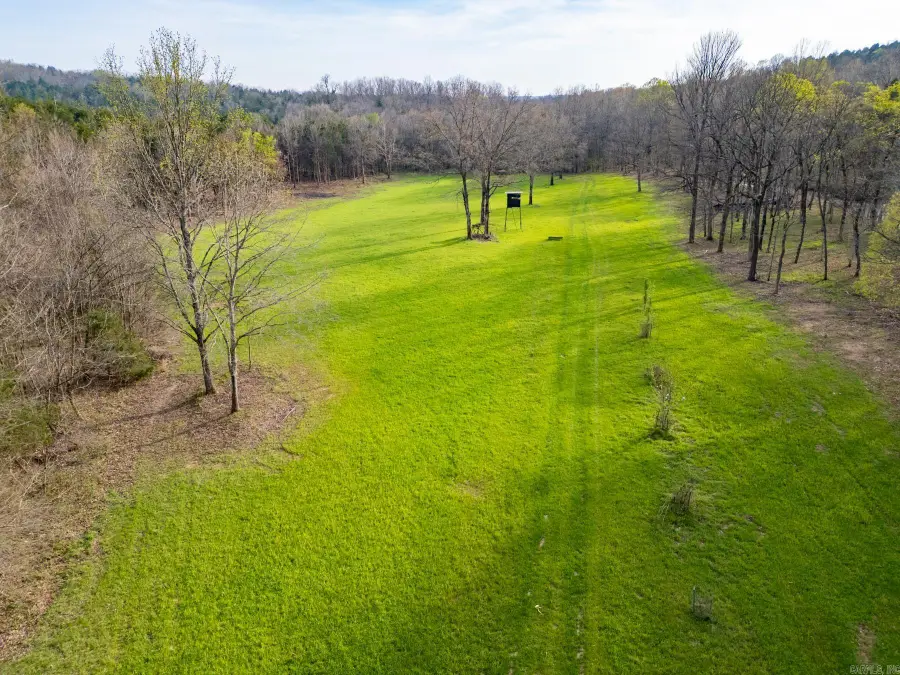 0000 Acorn Road, South Lebanon, AR 72549 - #2