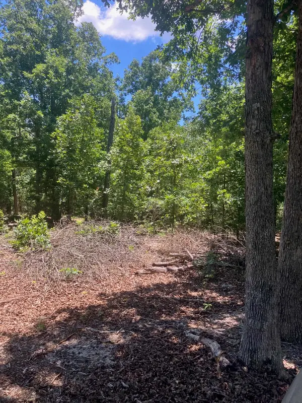 TBD Red Fox Road, Hardy, AR 72542