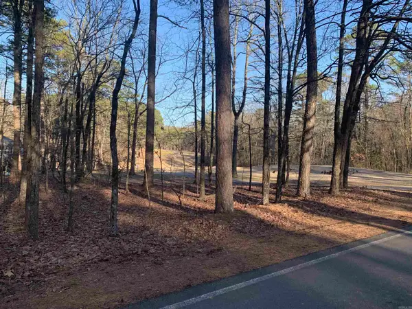 11 Castle Ridge Heights, Fairfield Bay, AR 72088
