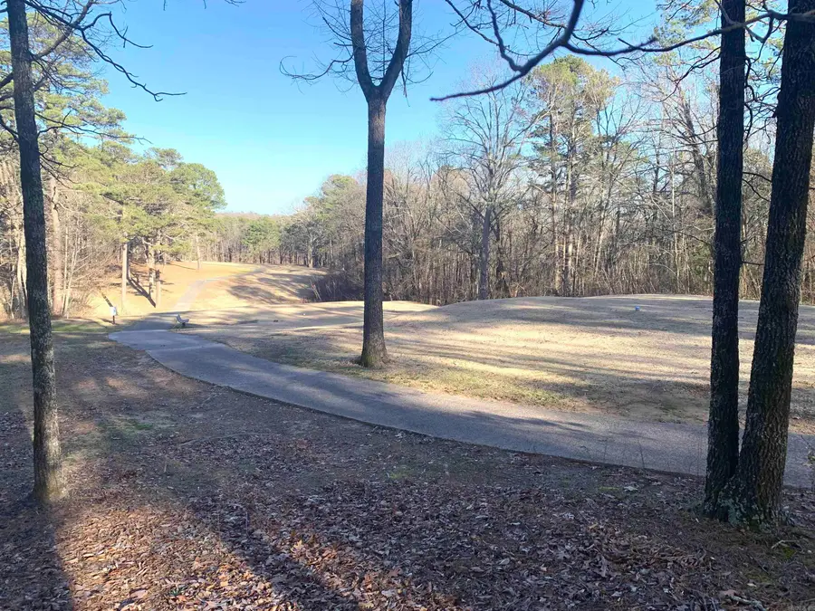 11 Castle Ridge Heights, Fairfield Bay, AR 72088 - #2
