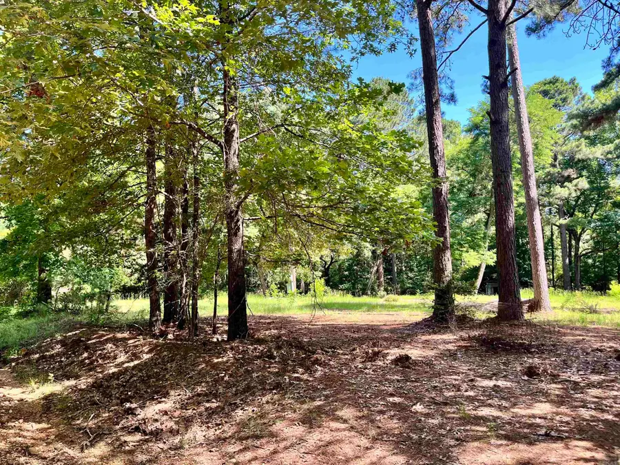 130 Dallas 216, Sparkman, AR 71763 - #2