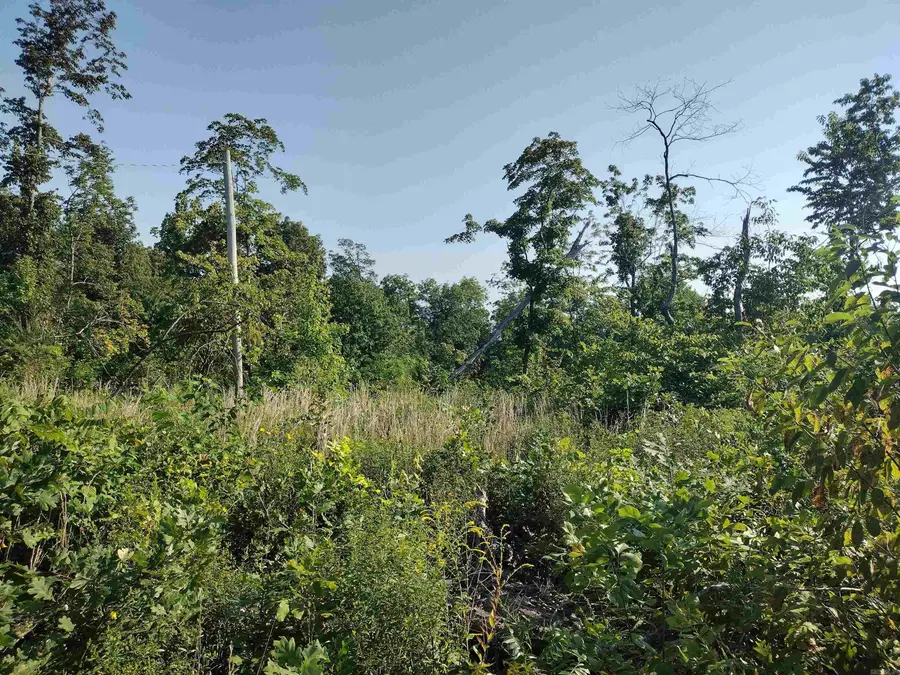 0000 Sutterfield, Fox, AR 72051 - #2
