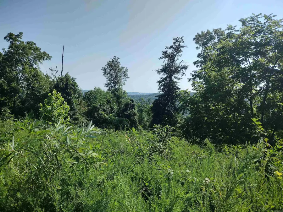 0 Sutterfield Road, Fox, AR 72051 - #3