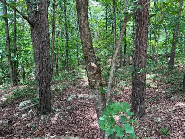 00 Rock Hill Road, Fairfield Bay, AR 72088