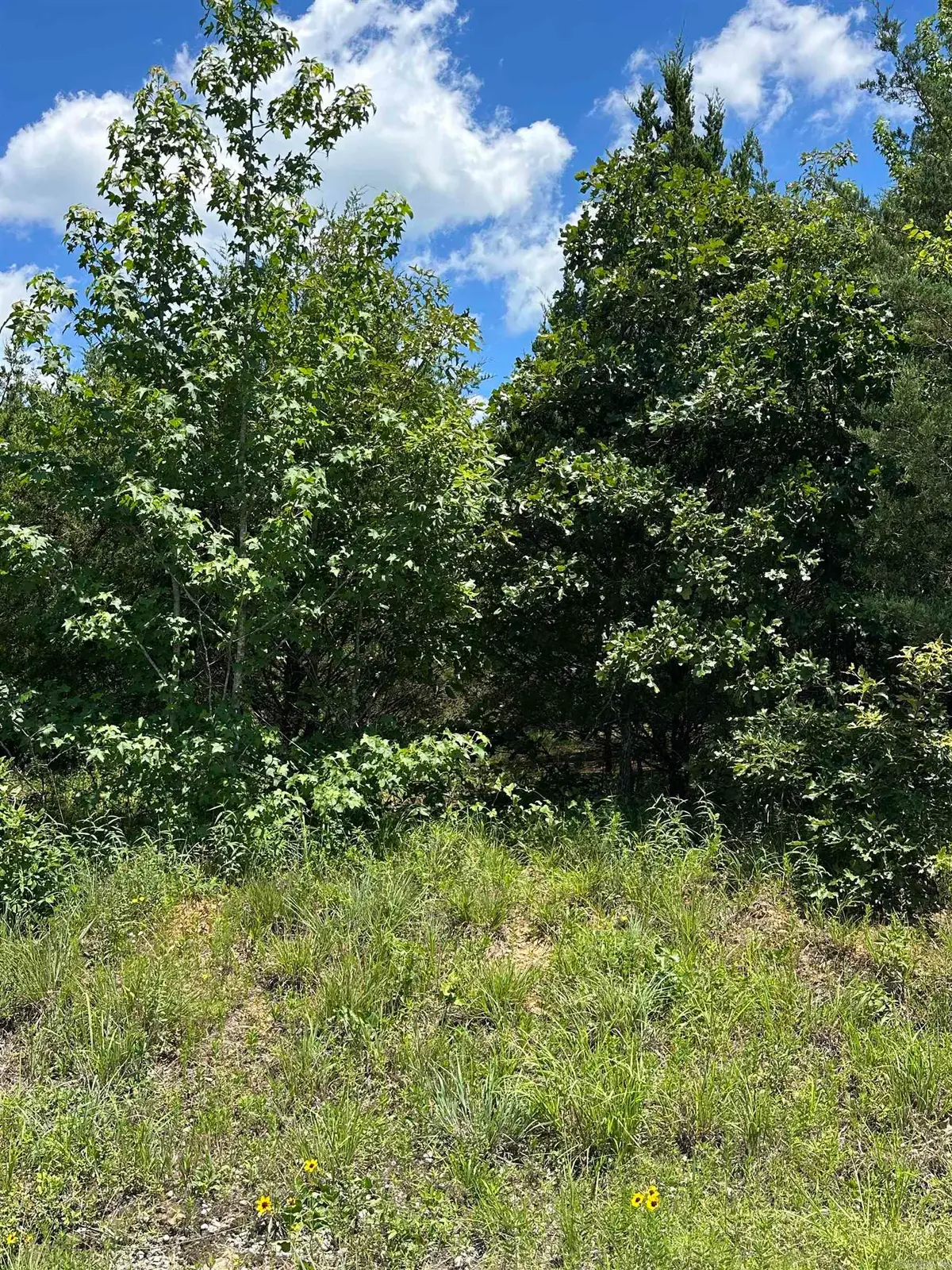 212 Byars Road, Beebe, AR 72012 - #1