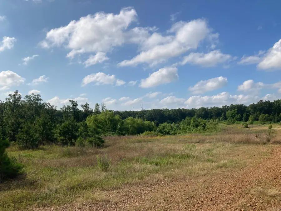2713 W Matthews Trail, Jonesboro, AR 72401 - #2