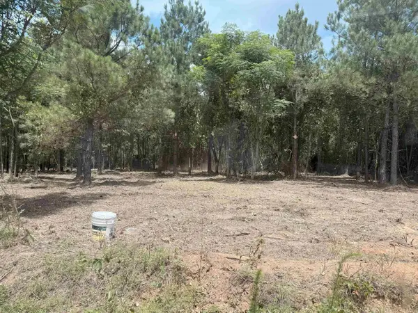00 Toledo Road, Rison, AR 71665