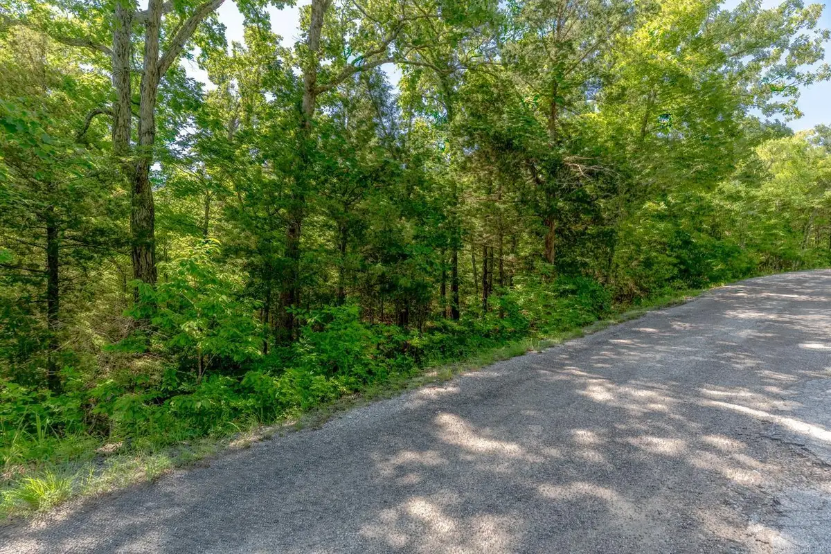 TBD Konawa Drive, Cherokee Village, AR 72529 - #1