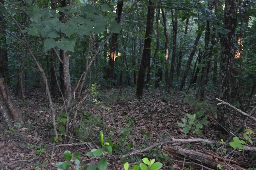 Address Withheld By Seller, Harriet, AR 72639 - #2