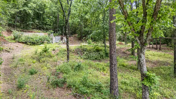 1656 Walnut Valley Drive, Dover, AR 72837