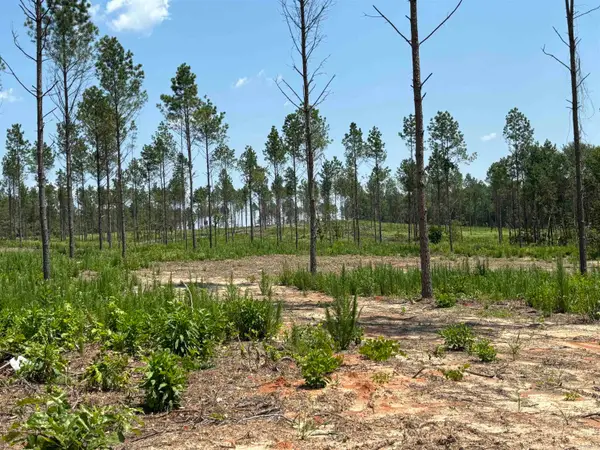 0 Grant 43 (d), Sheridan, AR 72150