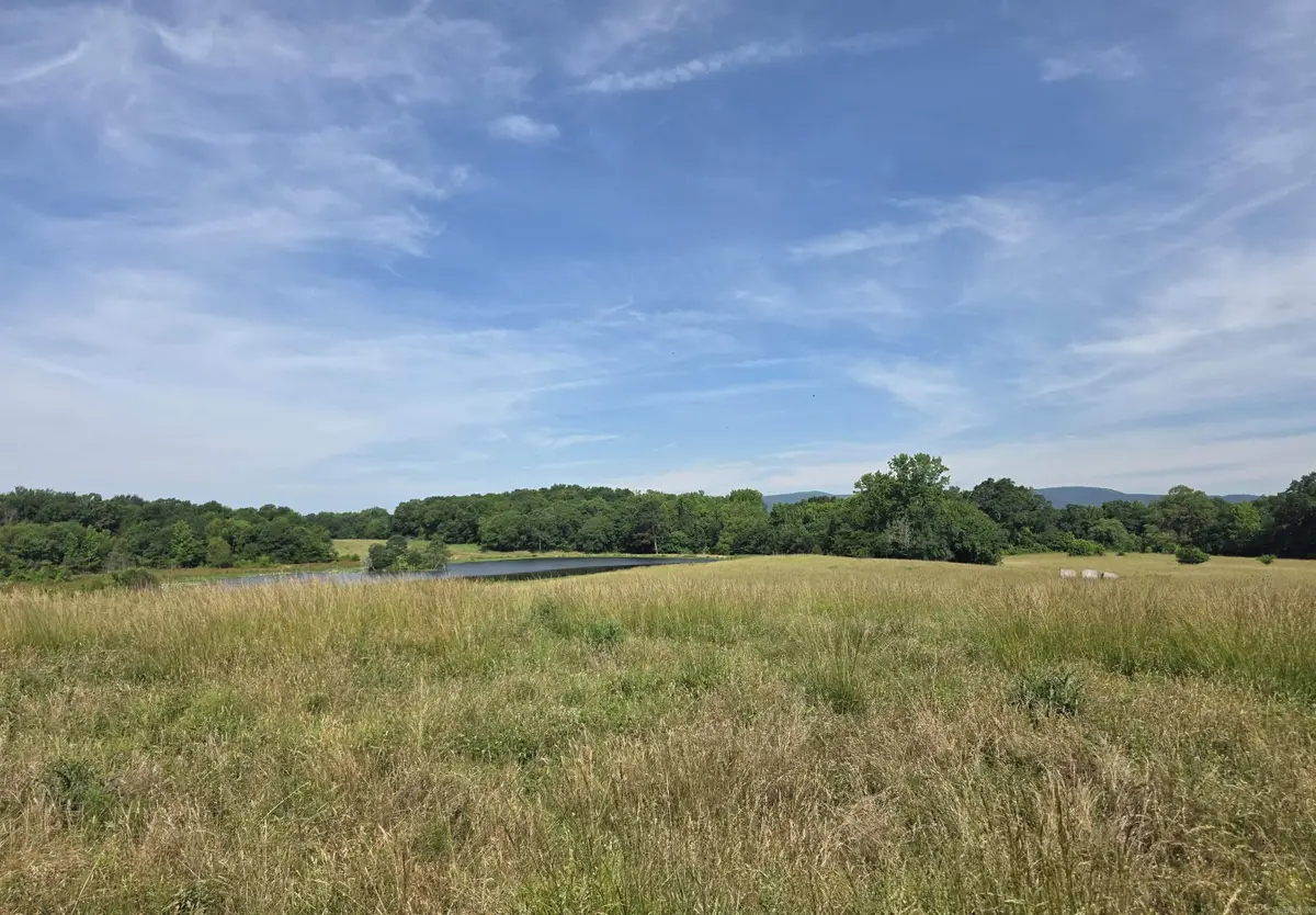 Unk Polk Road 149, Hatfield, AR 71945 - #1