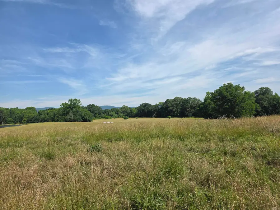 Unk Polk Road 149, Hatfield, AR 71945 - #3