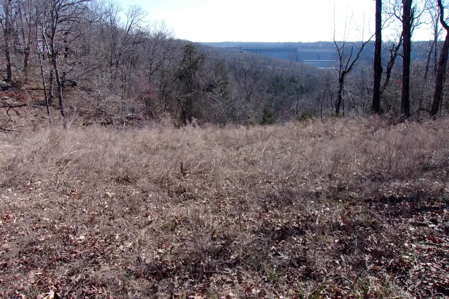 lots Country Club Ln, Bull Shoals, AR 72619 - #3