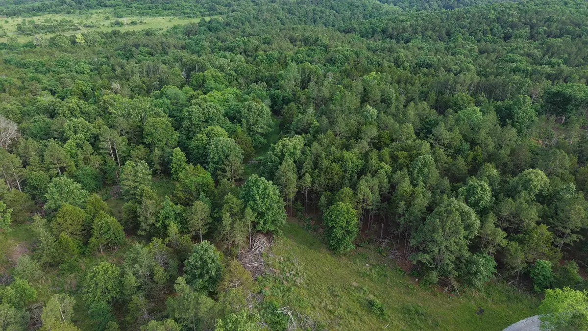32A Kerley Point Road, Elizabeth, AR 72531 - #1