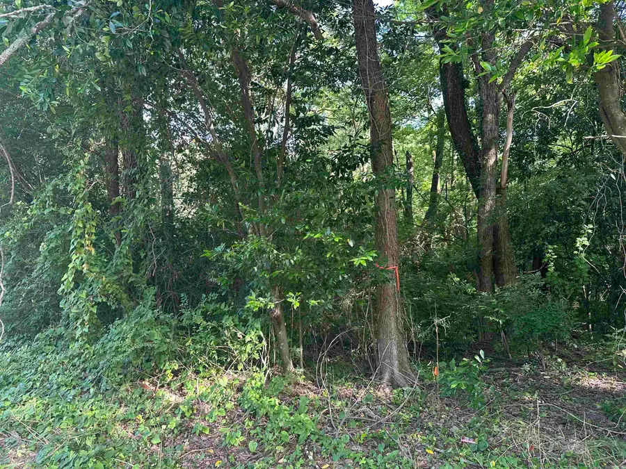 TBD Hollywood Avenue, Hot Springs, AR 71901 - #2