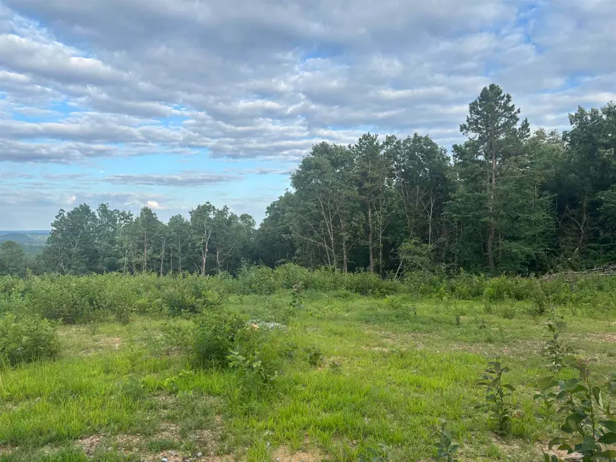 2095 Dry Mountain Road, Drasco, AR 72530 - #2