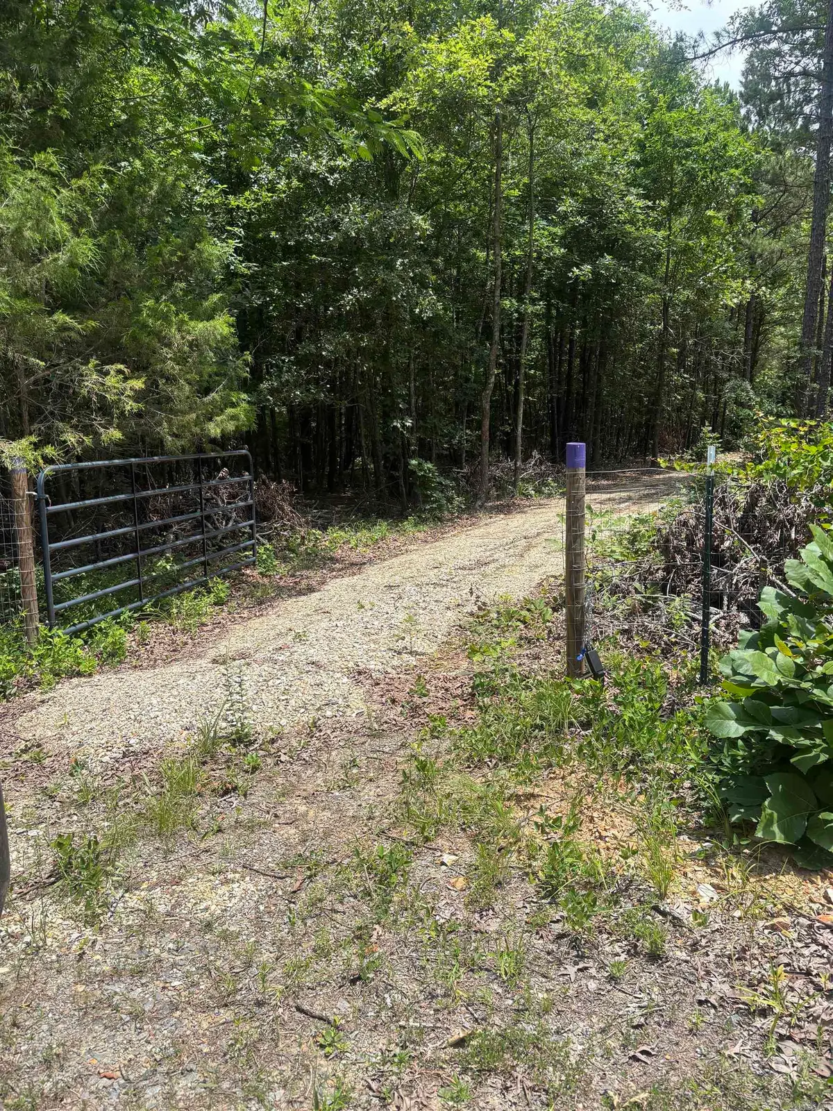 18000 Fedder Rd, Bigelow, AR 72016 - #1