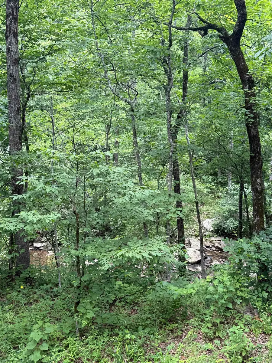 113 Wells Drive, Clinton, AR 72031 - #2