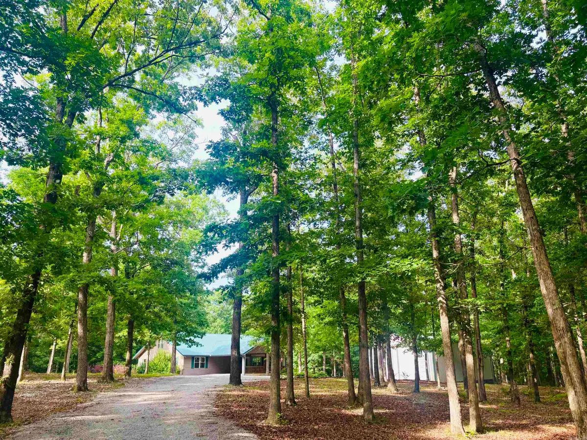 252 Mitchell Road, Mountain View, AR 72560 - #1