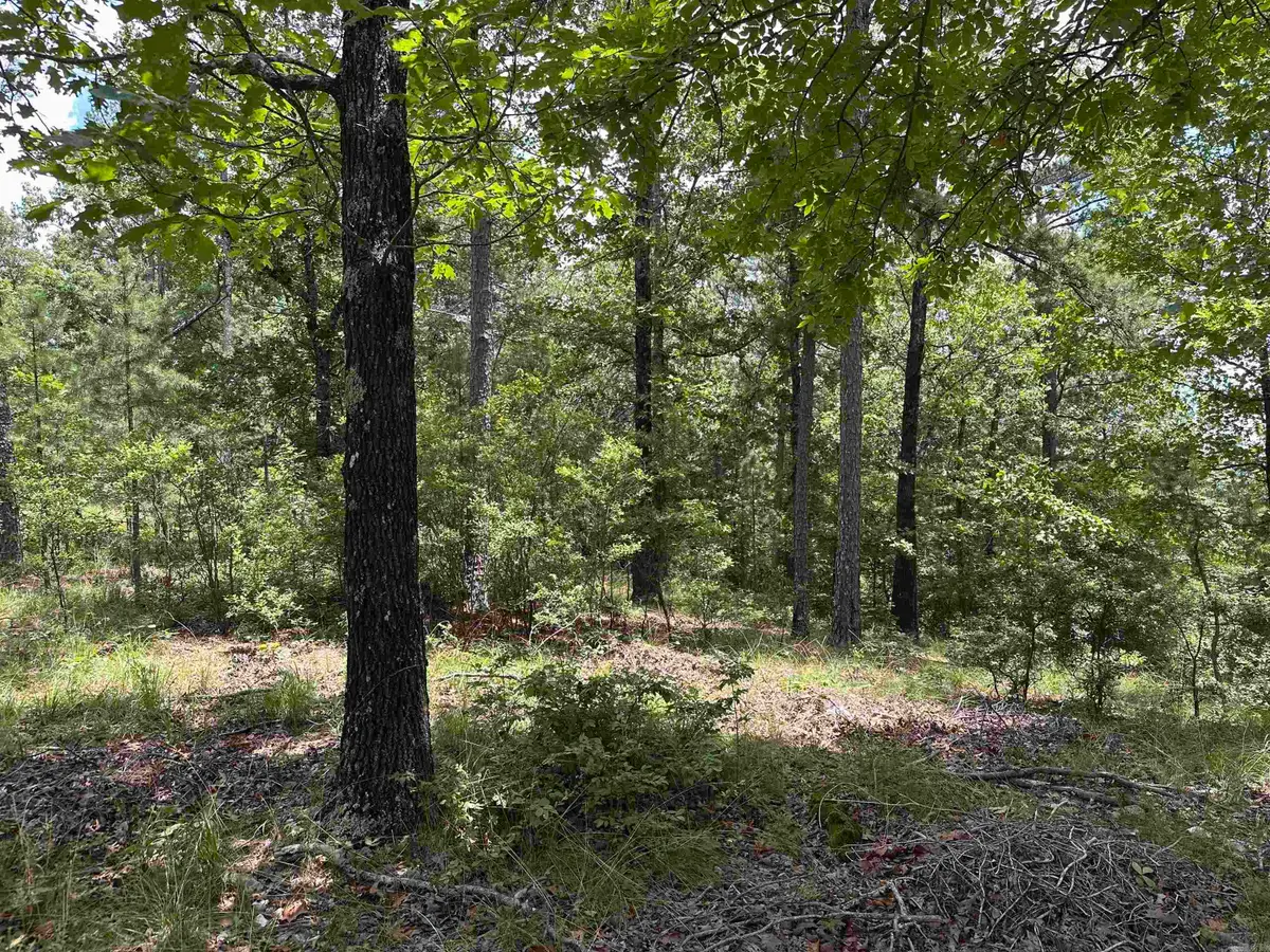 Vista View Pl, Hot Springs, AR 71901 - #1