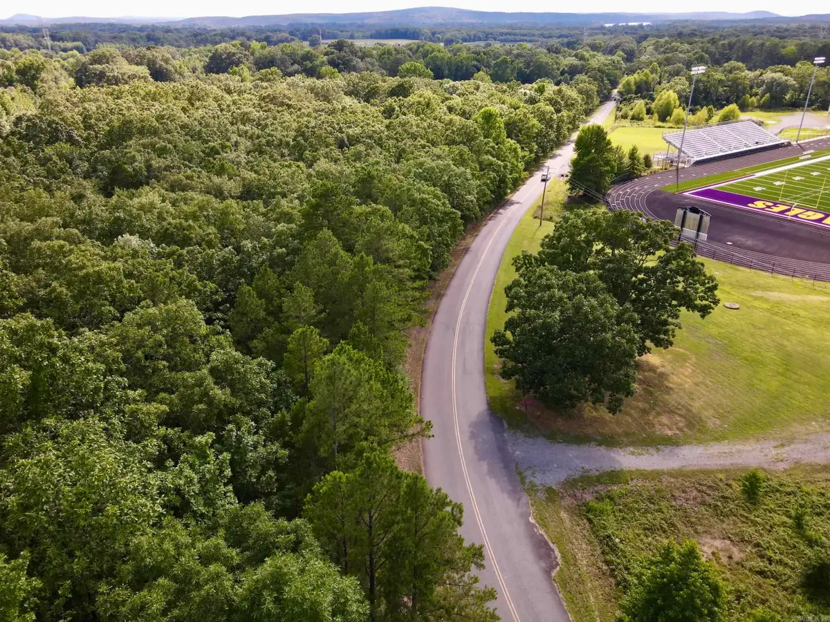 Address Withheld By Seller, Mayflower, AR 72106 - #1