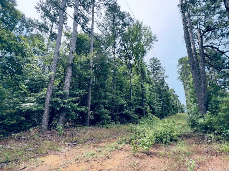 Unk Hwy 71 S., Mena, AR 71953 - #3