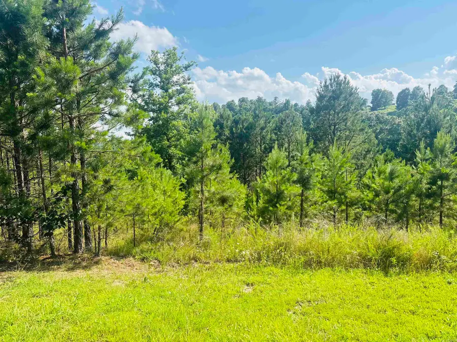 Address Withheld By Seller, Mountain View, AR 72560 - #3