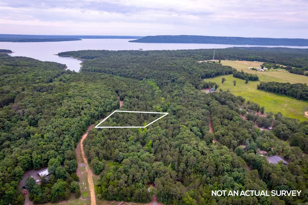 00 Brimer Lane, Higden, AR 72067 - #1