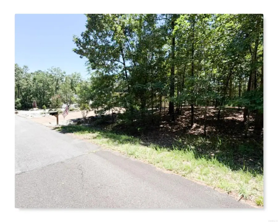 10 Perfecto Circle, Hot Springs Village, AR 71909 - #2