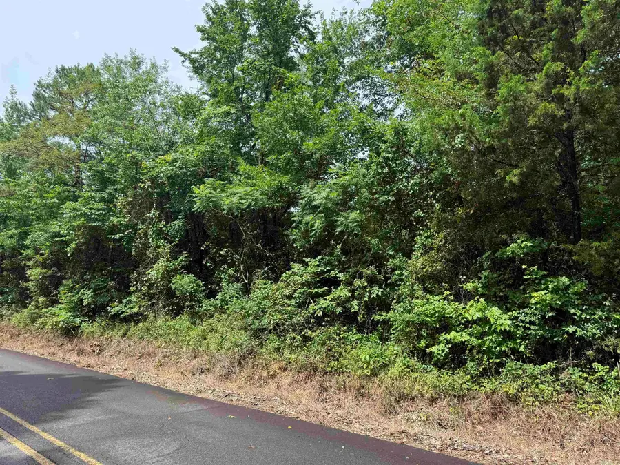 TBD Cc Road, Amity, AR 71921 - #3
