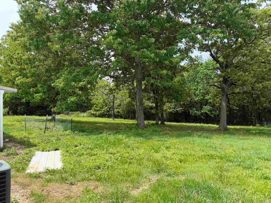 58 Chapman Road, Hardy, AR 72542 - #3