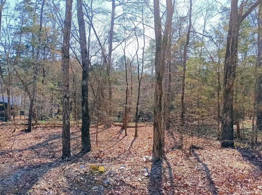 Block 3 Lot 34 Aracena Lane, Hot Springs Village, AR 71909 - #2