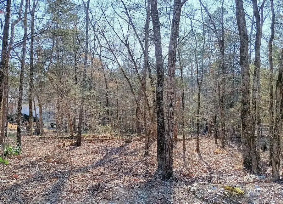 Block 3 Lot 34 Aracena Lane, Hot Springs Village, AR 71909 - #3