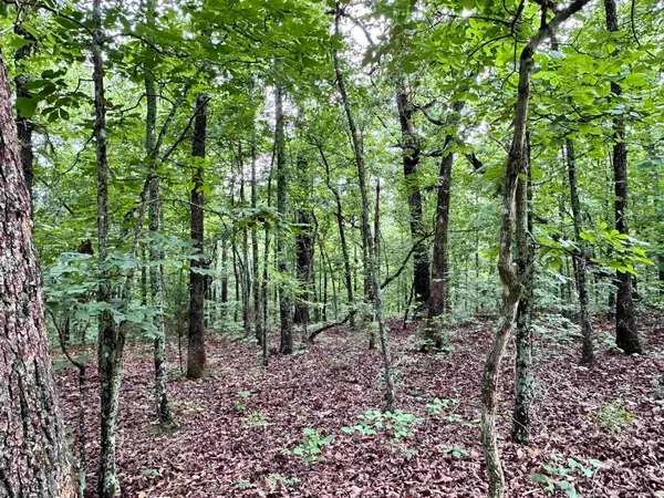 0 Palamino Drive, Williford, AR 72482