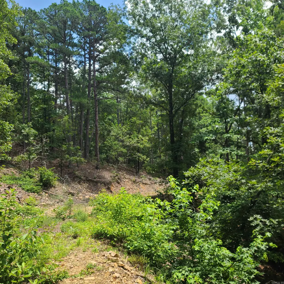 000 Cedar Glade Rd- Lot #wp000, Hot Springs, AR 71913 - #1