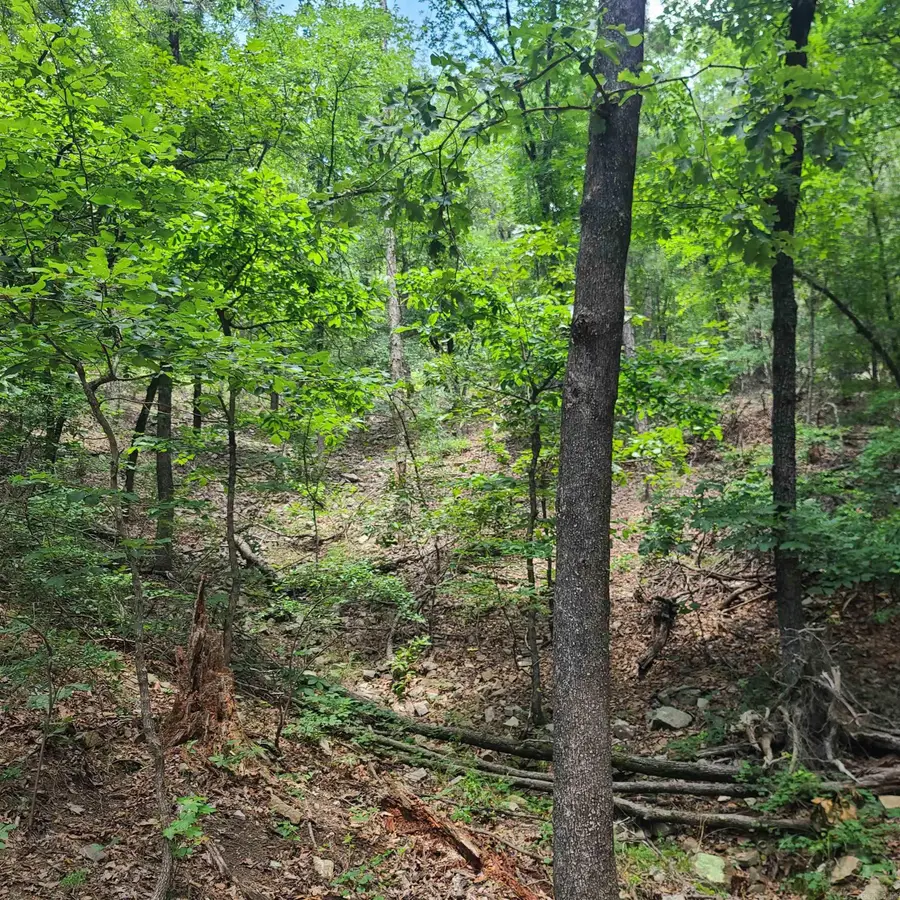 000 Cedar Glade Rd- Lot #wp000, Hot Springs, AR 71913 - #3