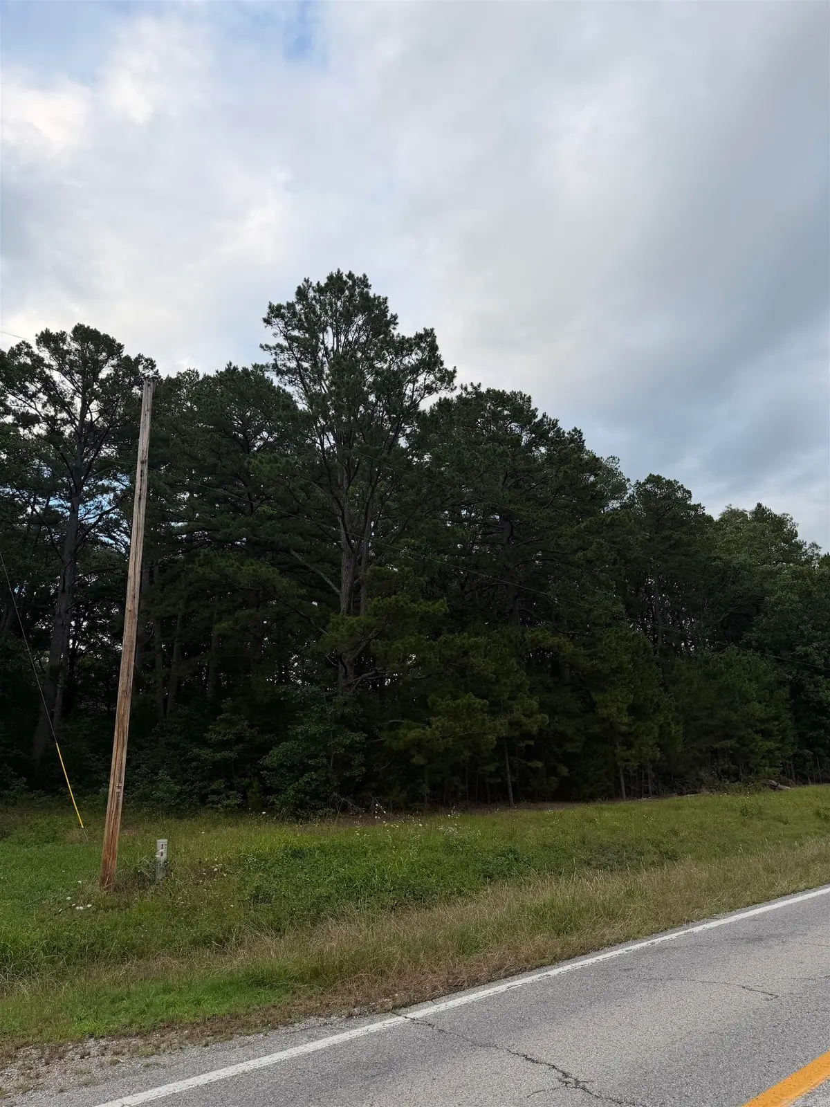1720 Mountain View Rd Road, Locust Grove, AR 72550 - #1