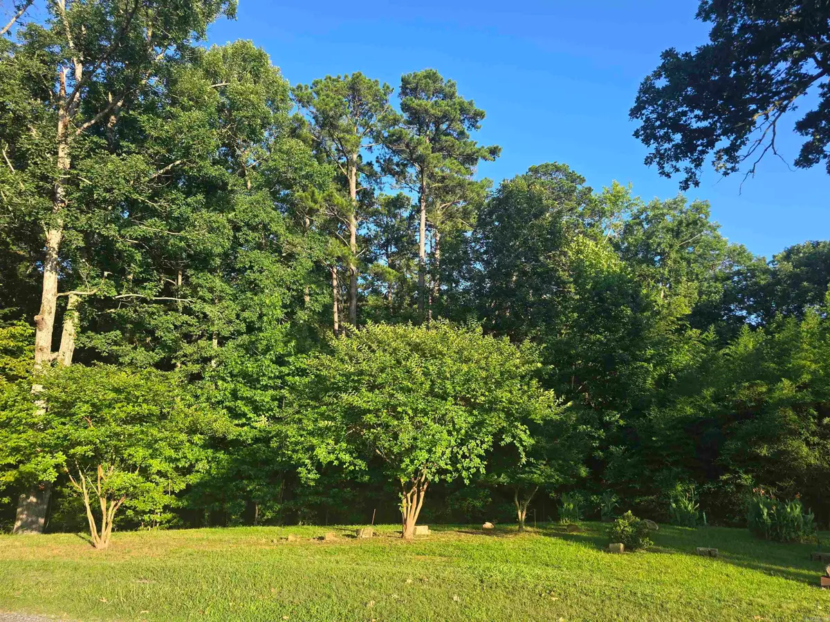 877A Makaha Point, Hot Springs, AR 71913 - #1