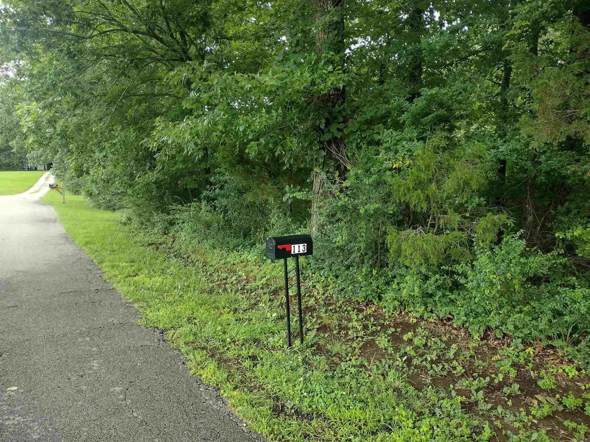 0 Green Meadows Rd, Mountain View, AR 72560 - #1