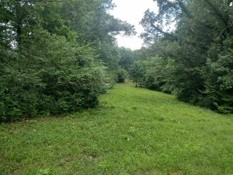 0 Green Meadows Rd, Mountain View, AR 72560 - #3