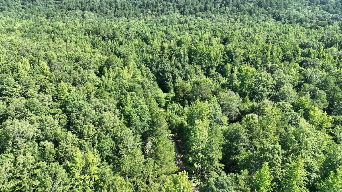 TBD Polk Road 69, Mena, AR 71953 - #1