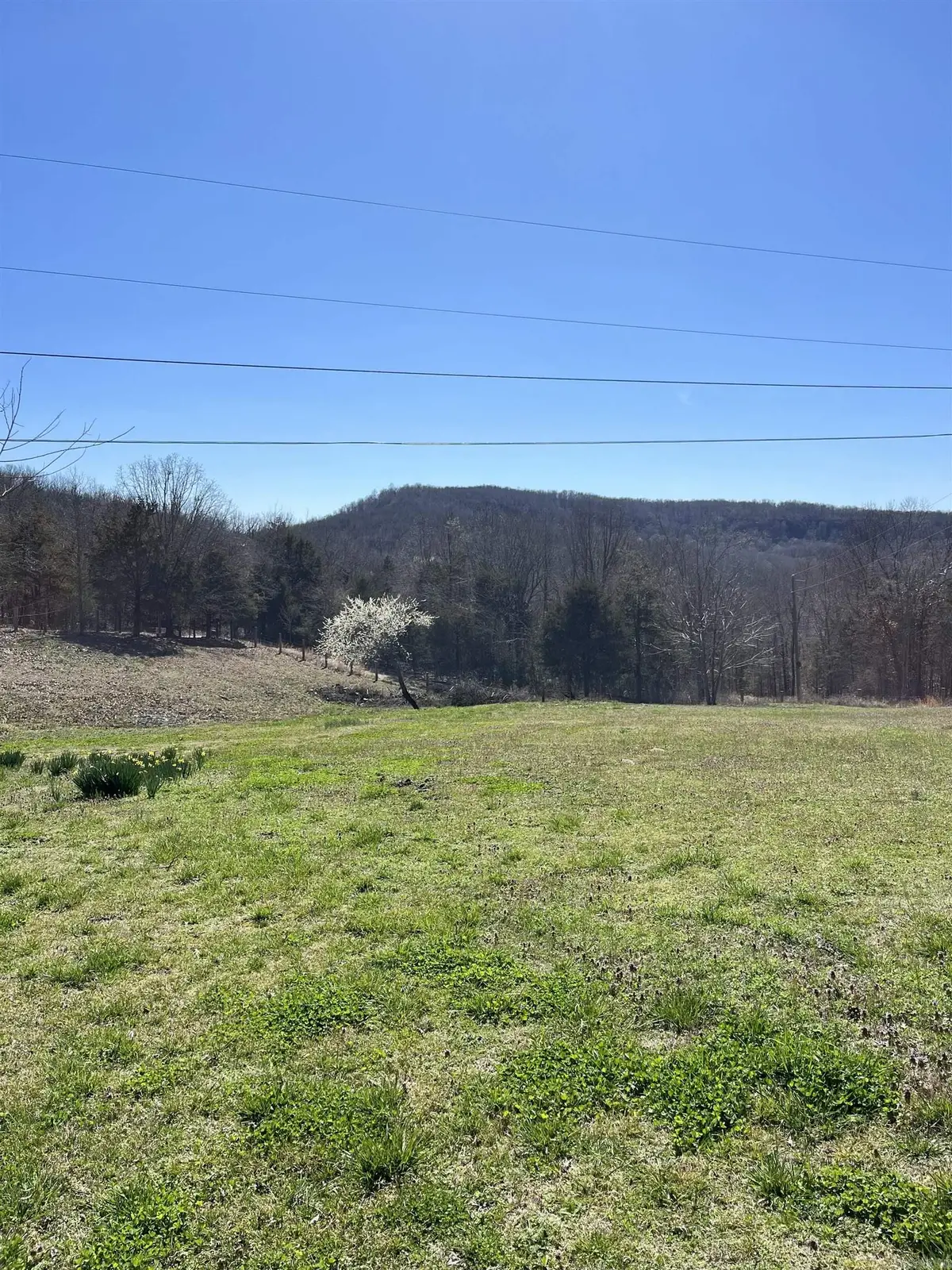 564 Rattlesnake Drive, Marshall, AR 72650 - #1