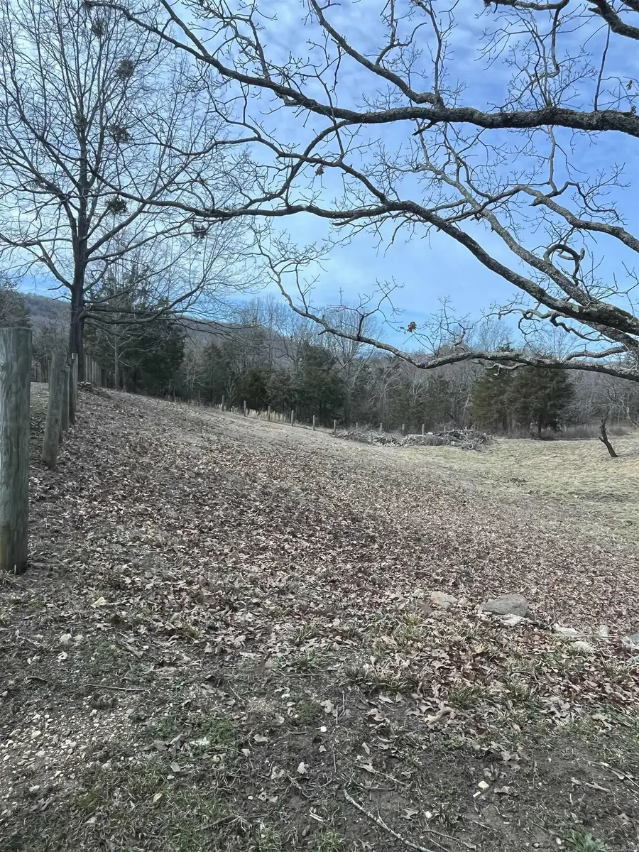 564 Rattlesnake Drive, Marshall, AR 72650 - #2