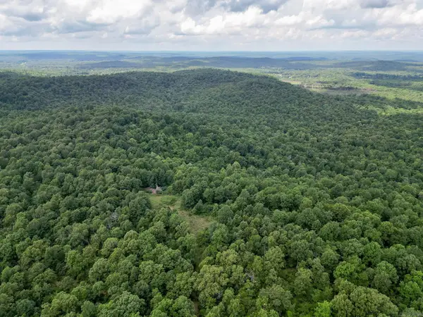52 Summerfield Creek Road, Williford, AR 72482